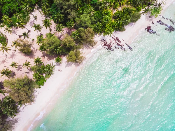 Flygfoto över stranden och havet med coconut palm tree — Stockfoto
