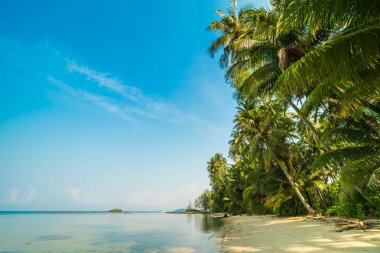 Güzel cennet ada plaj ve deniz