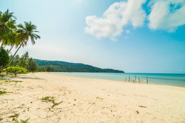 Güzel tropikal plaj ve deniz parad Hindistan cevizi hurma ağacı ile