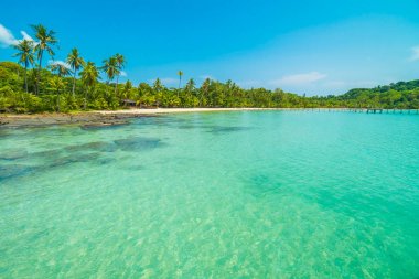 Güzel tropikal plaj ve deniz parad Hindistan cevizi hurma ağacı ile