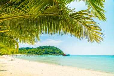 Güzel tropikal plaj ve deniz parad Hindistan cevizi hurma ağacı ile