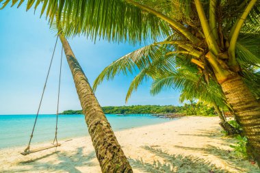 Güzel tropikal plaj ve deniz parad Hindistan cevizi hurma ağacı ile