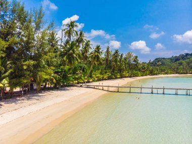 Plaj ve deniz ile Hindistan cevizi hurma ağacı güzel havadan görünümü