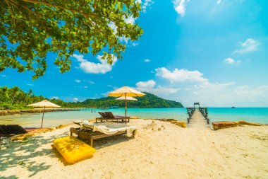 Güzel tropikal plaj ve deniz parad Hindistan cevizi hurma ağacı ile