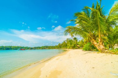 Güzel tropikal plaj ve deniz parad Hindistan cevizi hurma ağacı ile