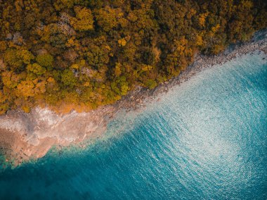 Güzel doğa tropikal plaj ve deniz ile Hindistan cevizi hurma ağacı o