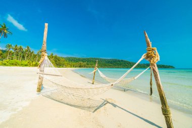 Hindistan cevizi ağaçları ve deniz ile güzel tropik sahilde arka plan hamak