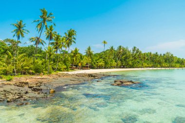 Güzel tropikal plaj ve deniz parad Hindistan cevizi hurma ağacı ile