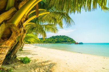 Güzel tropikal plaj ve deniz parad Hindistan cevizi hurma ağacı ile