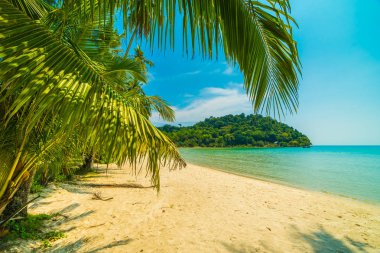 Güzel tropikal plaj ve deniz parad Hindistan cevizi hurma ağacı ile