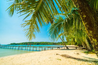 Güzel tropikal plaj ve deniz parad Hindistan cevizi hurma ağacı ile
