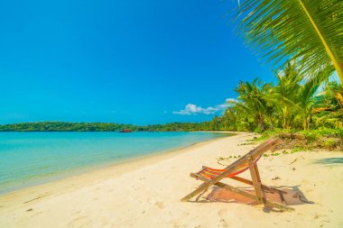 Güzel tropikal plaj ve deniz parad Hindistan cevizi hurma ağacı ile