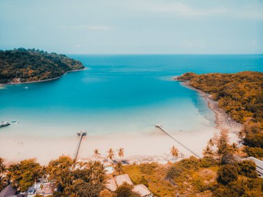 Güzel doğa tropikal plaj ve deniz ile Hindistan cevizi hurma ağacı o