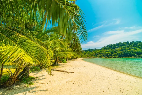 아름 다운 열 대 해변과 parad 코코넛 야자수와 바다 — 스톡 사진