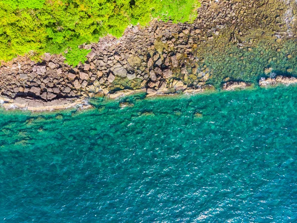 Вид с воздуха на пляж и море с кокосовой пальмой — стоковое фото