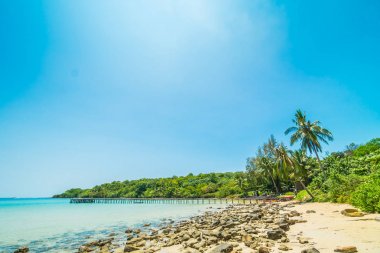 Güzel tropikal plaj ve deniz parad Hindistan cevizi hurma ağacı ile