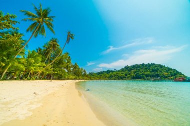 Güzel tropikal plaj ve deniz parad Hindistan cevizi hurma ağacı ile