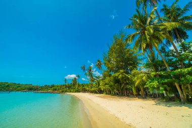 Güzel tropikal plaj ve deniz parad Hindistan cevizi hurma ağacı ile