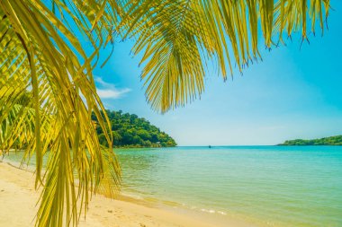 Güzel tropikal plaj ve deniz parad Hindistan cevizi hurma ağacı ile