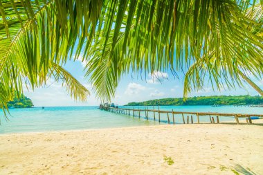 Güzel tropikal plaj ve deniz parad Hindistan cevizi hurma ağacı ile