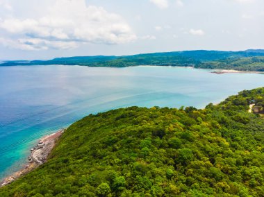 Güzel doğa tropikal plaj ve deniz ile Hindistan cevizi hurma ağacı o