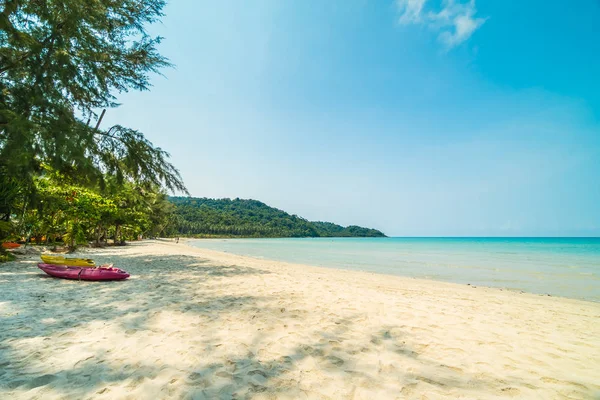 Beautiful tropical beach and sea with coconut palm tree in parad — Stock Photo, Image