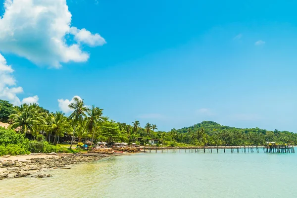 Pięknej tropikalnej plaży i morza z palmy kokosowe drzewo w parad — Zdjęcie stockowe