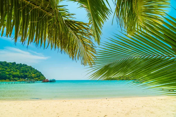 Tropisch strand en zee met coconut palm tree in parad — Stockfoto