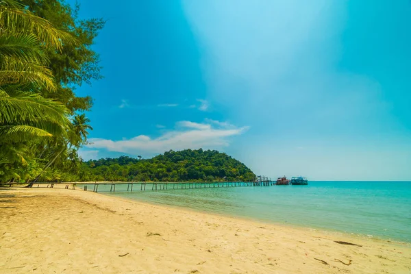 Kaunis trooppinen ranta ja meri kookospalmulla paradissa — kuvapankkivalokuva