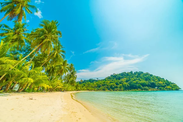 Beautiful tropical beach and sea with coconut palm tree in parad — Stock Photo, Image