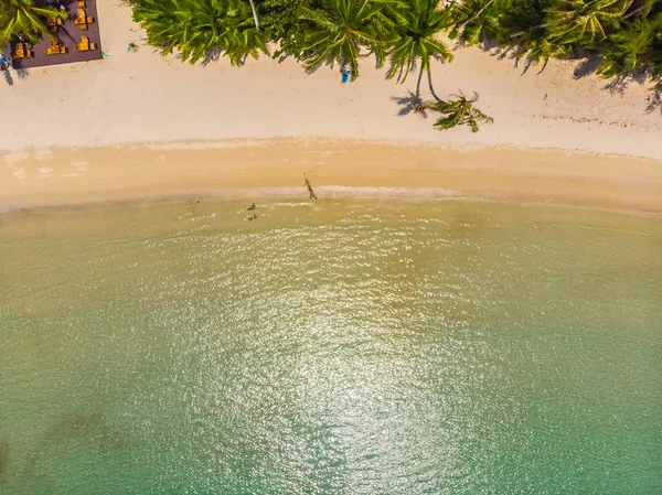 Вид с воздуха на пляж и море с кокосовой пальмой — стоковое фото