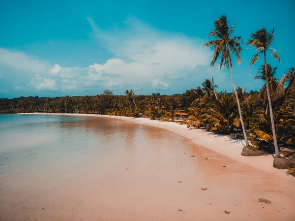 Wunderschöner Natur tropischer Strand und Meer mit Kokospalme — Stockfoto