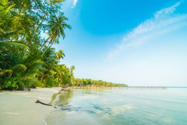 Güzel cennet ada plaj ve deniz