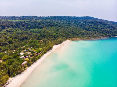 Plaj ve deniz ile Hindistan cevizi hurma ağacı güzel havadan görünümü