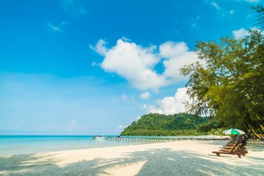 Güzel tropikal plaj ve deniz parad Hindistan cevizi hurma ağacı ile