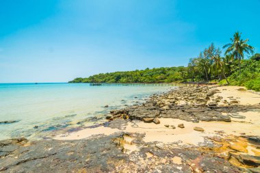 Güzel tropikal plaj ve deniz parad Hindistan cevizi hurma ağacı ile