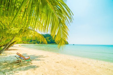 Güzel tropikal plaj ve deniz parad Hindistan cevizi hurma ağacı ile