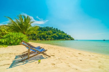 Güzel tropikal plaj ve deniz parad Hindistan cevizi hurma ağacı ile