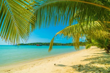 Güzel tropikal plaj ve deniz parad Hindistan cevizi hurma ağacı ile