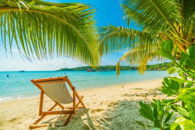 Güzel tropikal plaj ve deniz parad Hindistan cevizi hurma ağacı ile