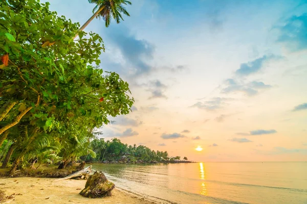 Hermosa isla paradisíaca con playa y mar alrededor de palma de coco — Foto de Stock
