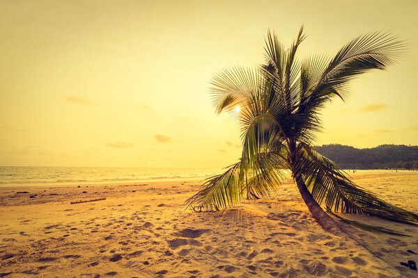 Beautiful tropical beach and sea with coconut palm tree in parad