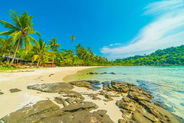 Belle plage tropicale et mer avec cocotier en parad — Photo