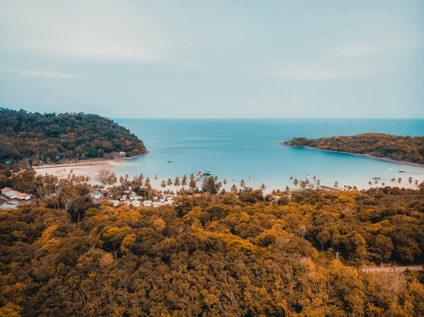 Gyönyörű természet trópusi strand és a tenger, a kókusz Pálma fa o — Stock Fotó