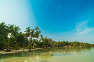 Güzel cennet ada plaj ve deniz