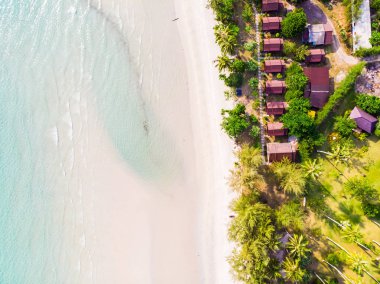 Plaj ve deniz ile Hindistan cevizi hurma ağacı güzel havadan görünümü