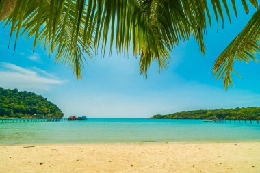 Güzel tropikal plaj ve deniz parad Hindistan cevizi hurma ağacı ile