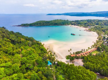 Güzel doğa tropikal plaj ve deniz ile Hindistan cevizi hurma ağacı o