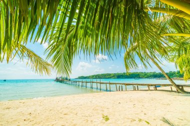 Güzel tropikal plaj ve deniz parad Hindistan cevizi hurma ağacı ile