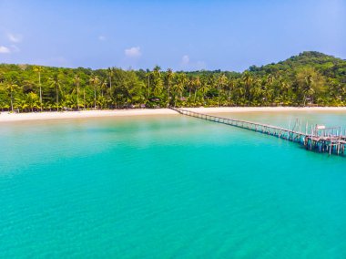 Güzel doğa tropikal plaj ve deniz ile Hindistan cevizi hurma ağacı o